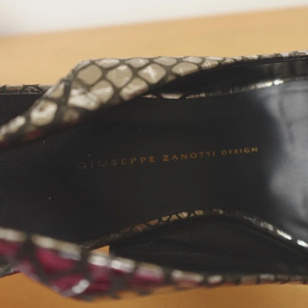Giuseppe Zanotti giuseppe zanotti
